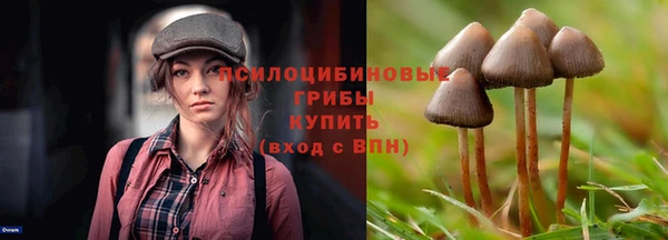 бошки Абдулино