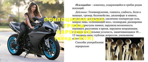 круглые Алзамай