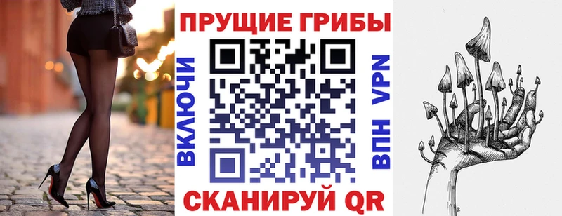 сколько стоит  блэк спрут онион  Галлюциногенные грибы MAGIC MUSHROOMS  Горбатов 
